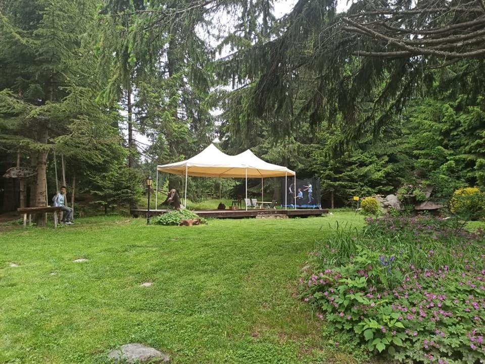 "Моето Любимо Място", Смолянски Езера - "My Favorite Place", Smolyan Lakes Εξωτερικό φωτογραφία